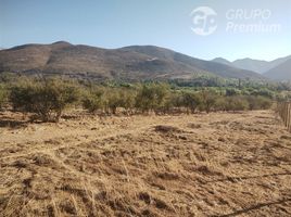  Terreno (Parcela) en venta en Chile, Salamanca, Choapa, Coquimbo, Chile