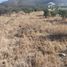  Terreno (Parcela) en venta en Chile, Salamanca, Choapa, Coquimbo, Chile