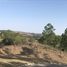  Land for sale in Santa Maria, Cordoba, Santa Maria