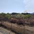  Terreno (Parcela) en venta en Zapopan, Jalisco, Zapopan, Jalisco