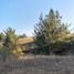  Land for sale in Chile, Laja, Biobío, Biobío, Chile