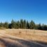  Land for sale in Chile, Laja, Biobío, Biobío, Chile