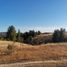  Land for sale in Chile, Laja, Biobío, Biobío, Chile