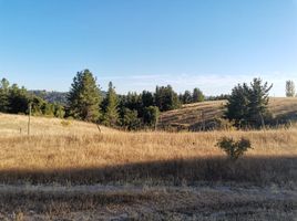  Land for sale in Chile, Laja, Biobío, Biobío, Chile