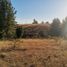  Land for sale in Chile, Laja, Biobío, Biobío, Chile