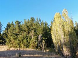  Terreno (Parcela) en venta en Chile, Laja, Biobío, Biobío, Chile