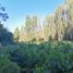  Terreno (Parcela) en venta en Chile, Laja, Biobío, Biobío, Chile