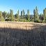  Terreno (Parcela) en venta en Chile, Laja, Biobío, Biobío, Chile