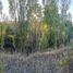  Terreno (Parcela) en venta en Chile, Laja, Biobío, Biobío, Chile