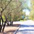  Land for sale in Chile, Colina, Chacabuco, Santiago, Chile