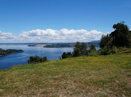  Terreno (Parcela) en venta en Los Ríos, Futrono, Ranco, Los Ríos