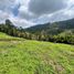  Terreno (Parcela) en venta en Santa Rosa De Cabal, Risaralda, Santa Rosa De Cabal