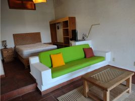 1 Schlafzimmer Wohnung zu vermieten in Valle De Bravo, Mexico, Valle De Bravo