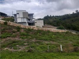  Land for sale in Cauca, Santander De Quilichao, Cauca