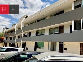 1 Bedroom Condo for rent in Santa Catarina, Nuevo Leon, Santa Catarina
