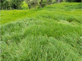  Terrain for sale in Boyaca, Ramiriqui, Boyaca