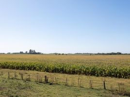  Terreno (Parcela) en venta en Capital Federal, Buenos Aires, Capital Federal