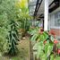 3 Bedroom House for sale in Fusagasuga, Cundinamarca, Fusagasuga