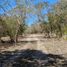  Terreno (Parcela) en venta en Conkal, Yucatán, Conkal, Yucatán