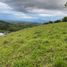  Land for sale in Valle Del Cauca, Palmira, Valle Del Cauca