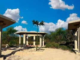  Grundstück zu verkaufen in Sinanche, Yucatan, Sinanche