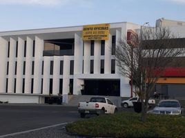 500 SqM Office for rent in El Marques, Queretaro, El Marques