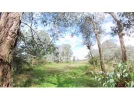  Land for sale in Penol, Antioquia, Penol