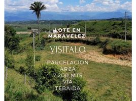  Terreno (Parcela) en venta en Buenavista, Quindio, Buenavista