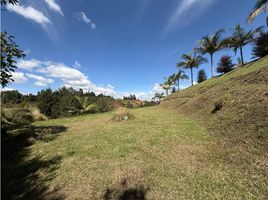Terrain à vendre à Marinilla, Antioquia, Marinilla