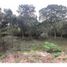  Land for sale in Cali, Valle Del Cauca, Cali