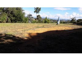  Land for sale in San Vicente, Antioquia, San Vicente