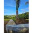  Land for sale in San Pedro Valle Del Cauca, San Pedro