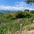  Terreno (Parcela) en venta en Ulloa, Valle Del Cauca, Ulloa