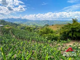  Terreno (Parcela) en venta en Ulloa, Valle Del Cauca, Ulloa