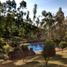 4 Bedroom House for sale in Valle Del Cauca, Yumbo, Valle Del Cauca