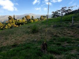  Terreno (Parcela) en venta en Palmira, Valle Del Cauca, Palmira