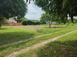  Land for sale in Atlantico, Tubara, Atlantico