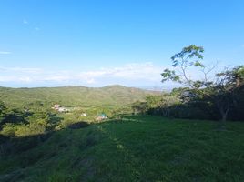  Terreno (Parcela) en venta en Palmira, Valle Del Cauca, Palmira