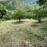  Land for sale in Yumbo, Valle Del Cauca, Yumbo