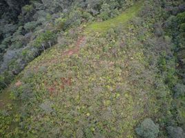  Terreno (Parcela) en venta en Dagua, Valle Del Cauca, Dagua