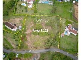  Land for sale in Palmira, Valle Del Cauca, Palmira