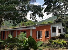 4 Schlafzimmer Villa zu verkaufen in La Mesa, Cundinamarca, La Mesa