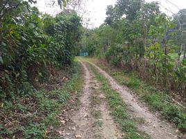  Grundstück zu verkaufen in La Mesa, Cundinamarca, La Mesa