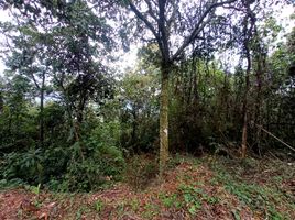  Terreno (Parcela) en venta en Yumbo, Valle Del Cauca, Yumbo