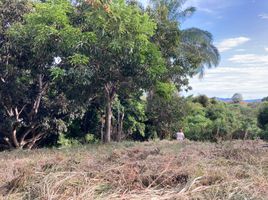  Land for sale in Anapoima, Cundinamarca, Anapoima