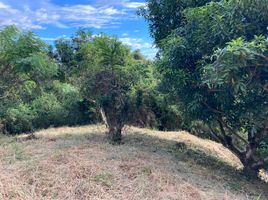  Terrain for sale in Anapoima, Cundinamarca, Anapoima