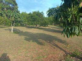  Land for sale in La Mesa, Cundinamarca, La Mesa