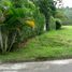  Land for sale in Cali, Valle Del Cauca, Cali