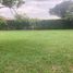  Land for sale in Jamundi, Valle Del Cauca, Jamundi