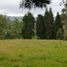  Land for sale in Guarne, Antioquia, Guarne